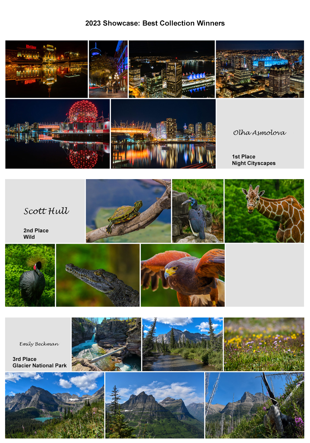 collage of thumbnail images of 2023 best collections
