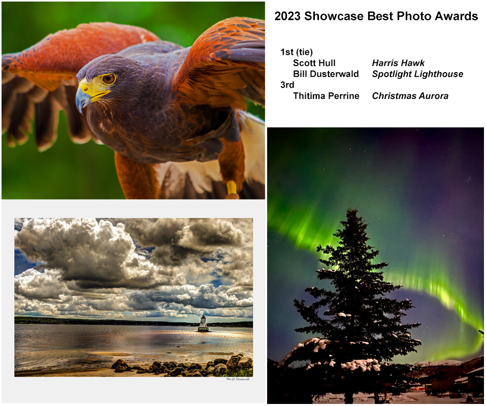 collage of thumbnail images of 2023 best photos