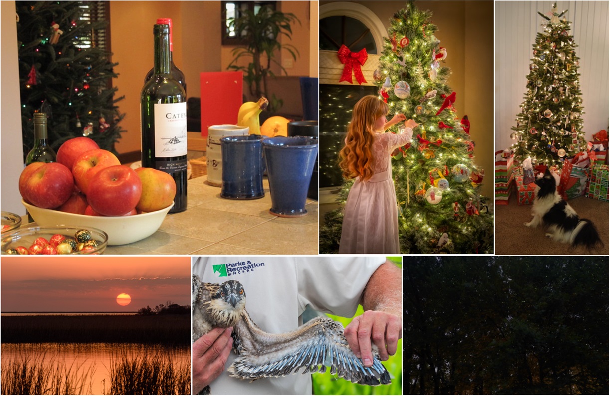 collage of thumbnail images of the 6 winners